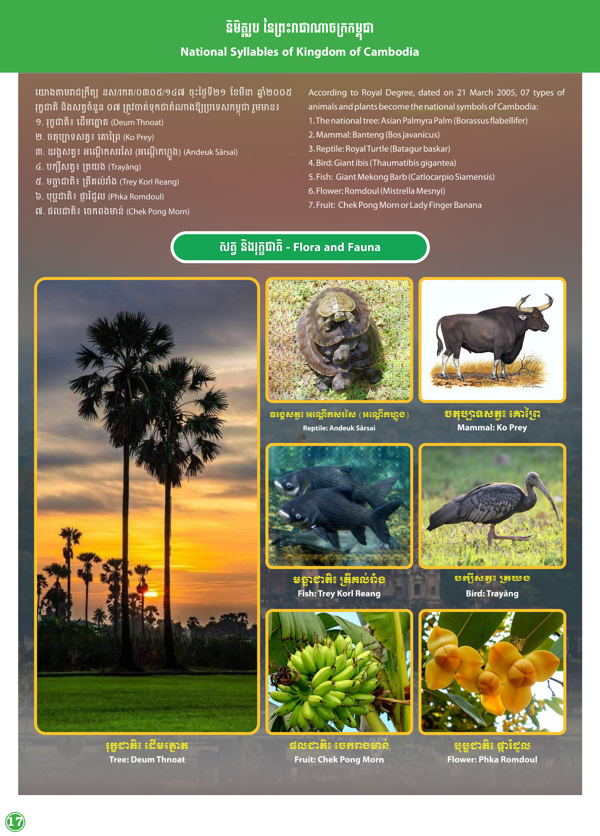 Booklet Page
